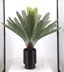 Artificial Plants Manufacturers in Canada