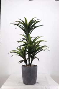 Artificial Plants for Home Décor in Canada