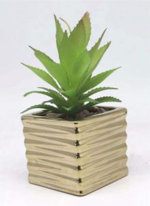 Artificial Plants Wholesale Suppliers in India