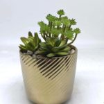 Artificial Plants Manufacturers in India