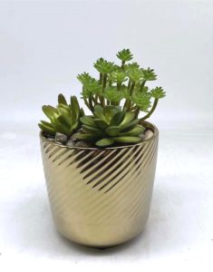 Artificial Plants Manufacturers in India