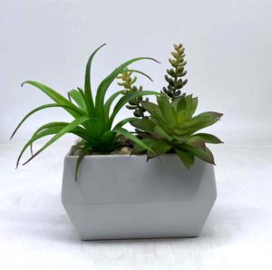 Artificial Plants Suppliers in Bulk in India