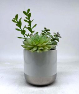 Artificial Plants Wholesale Suppliers