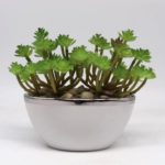 Artificial Plants Manufacturers