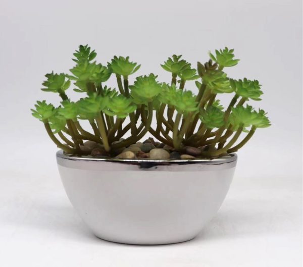 Artificial Plants Manufacturers