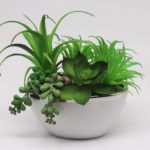 Artificial Plants for Home Décor