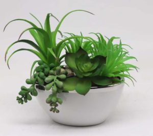 Artificial Plants for Home Décor