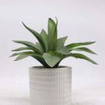 Artificial Plants Suppliers in Bulk