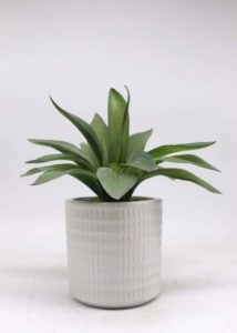 Artificial Plants Suppliers in Bulk