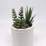 Artificial Plants Wholesale Suppliers USA