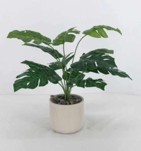Artificial Plants for Home Décor USA