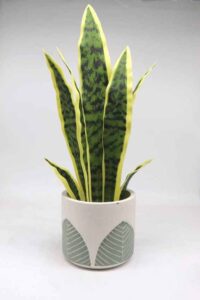 Artificial plants for home decor