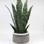 Artificial plants for home decor