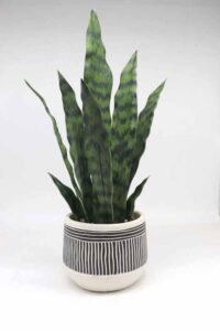 Artificial plants for home decor