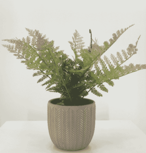 Artificial plants for home decor