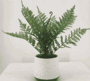 Artificial plants for home decor