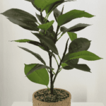 Artificial plants for home decor