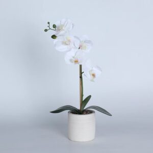 Artificial Plants Wholesale Suppliers in USA