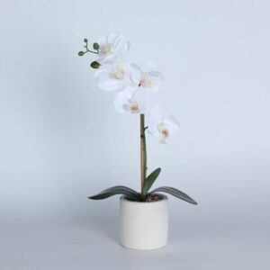 Artificial plants for home decor