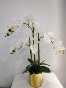 Artificial Plants